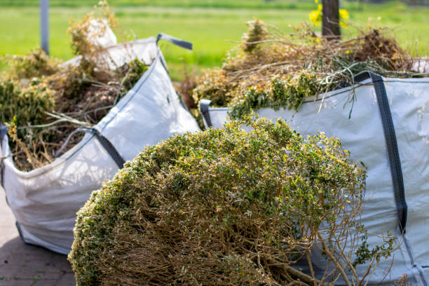 Best Junk Removal Near Me  in Lone Jack, MO